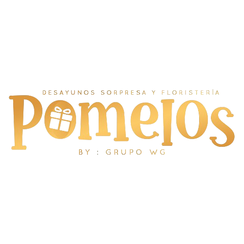 WEBSITE-removebg-preview (1)